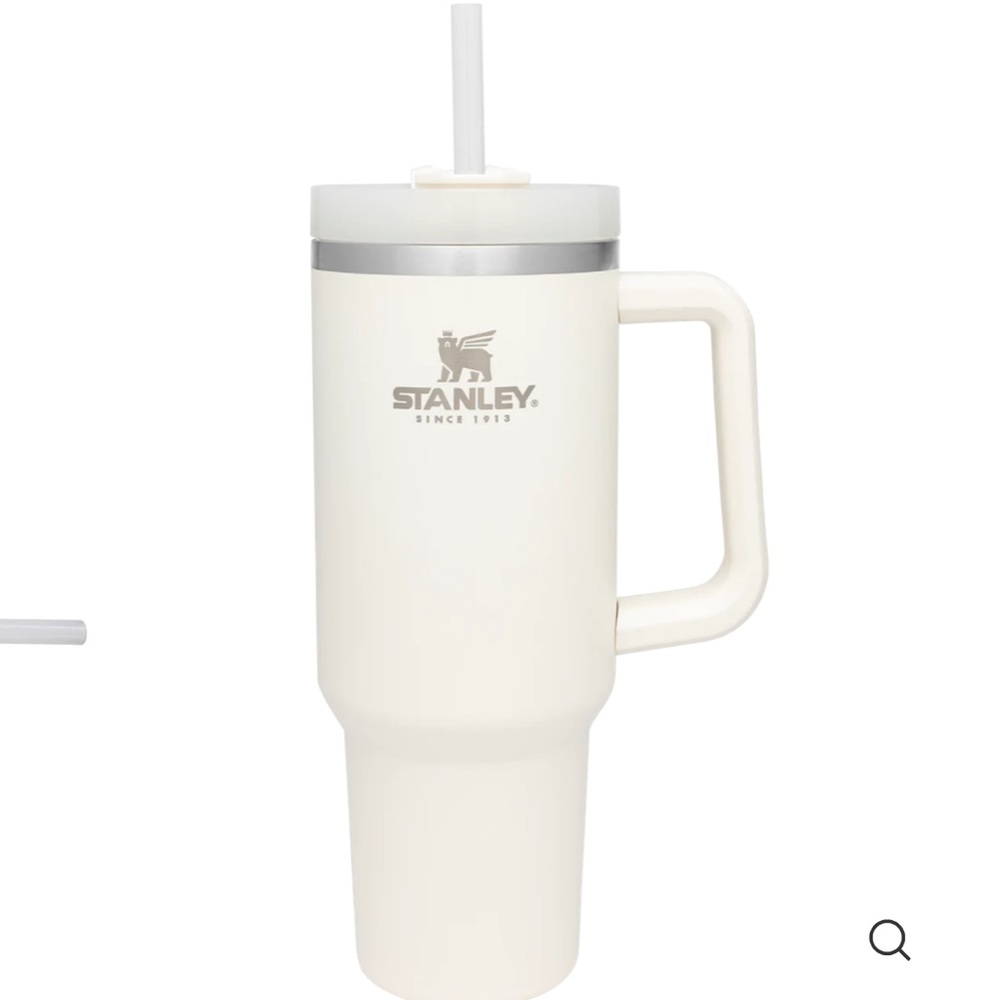 Stanley 40 oz VIRAL cup